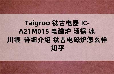 Taigroo 钛古电器 IC-A21M01S 电磁炉+汤锅 冰川银-详细介绍 钛古电磁炉怎么样 知乎